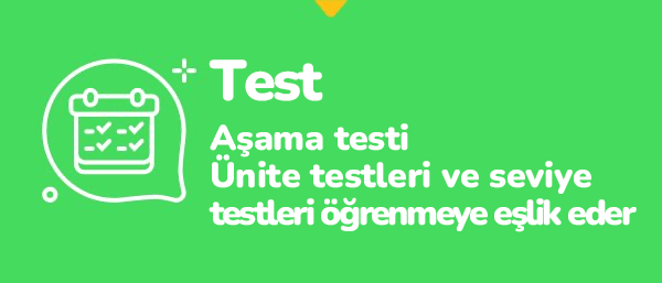 Öğrenme çıktılarının standartlaştırılmış değerlendirmeleri vardır.